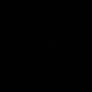 Meet your Posher, Perla